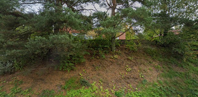 Luhangan Pitopalvelu ja Kodinapu Marika Helminen-Aro