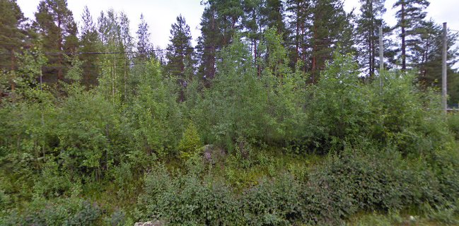 Pitopalvelu Paakarit