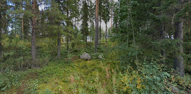 Kotileipomo Tanjan Tilauskakut