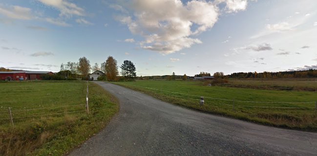 Maatilaleipomo Ikonen Olavi