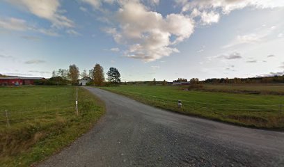 Maatilaleipomo Ikonen Olavi