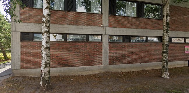 Pitopalvelu Pilke Oy