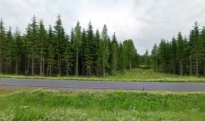 Ravintola Wanha Mestari