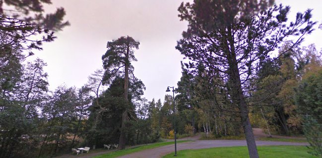 Opinii despre Villa Sandviken în Vaasa - Ravintola-ala