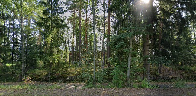 Iitin rantamakasiini