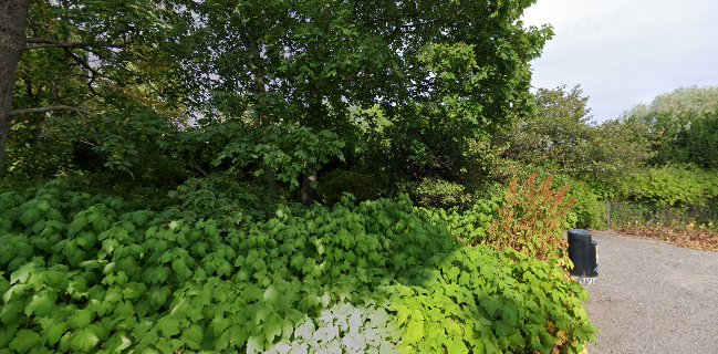 Opinii despre Ravintola Töölönranta în Helsinki - Ravintola-ala