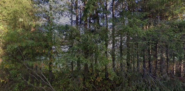 Kansanopistontie 7, 99600 Sodankylä