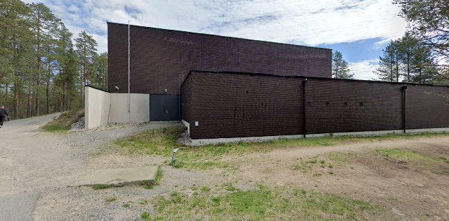 Angry Birds Activity Park