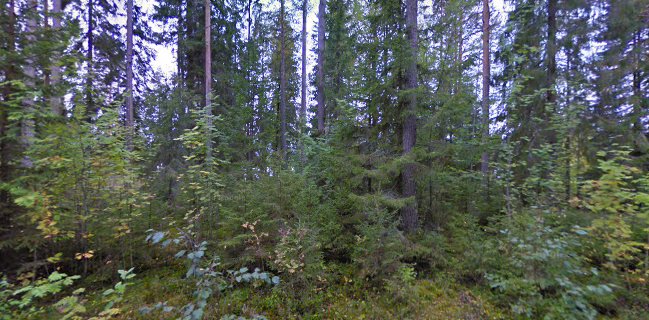 Konditoria Pekkarinen