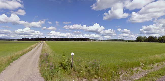 Juhlapalvelu Tarja Mäkelä - Ravintola-ala