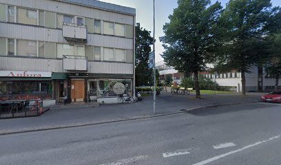 Altemur avoin yhtiö