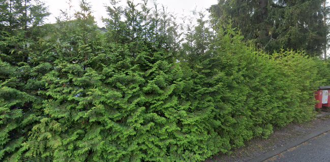 Juhlapalvelu Kinkerikokit